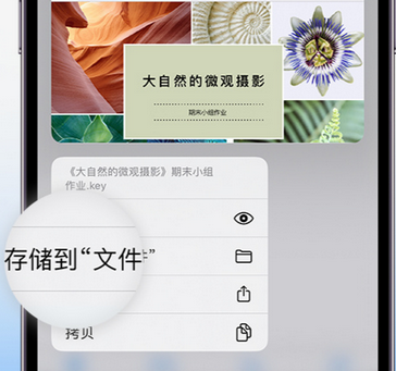 任丘apple维修中心分享iPhone文件应用中存储和找到下载文件