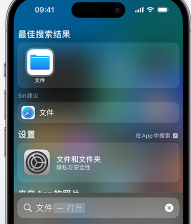 任丘apple维修中心分享iPhone文件应用中存储和找到下载文件