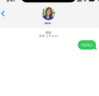 任丘apple维修iPhone上无法正常发送iMessage信息