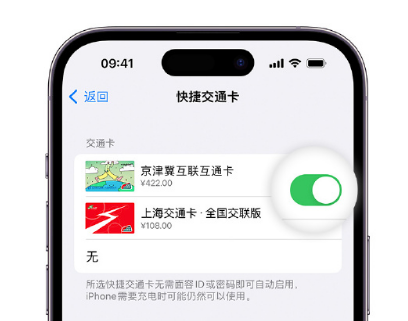 任丘apple维修点分享iPhone上更换Apple Pay快捷交通卡手绘卡面 