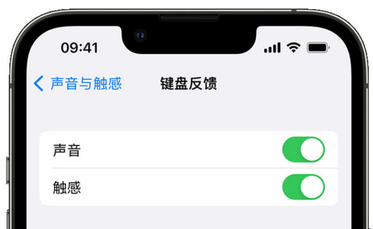 任丘苹果手机维修分享iPhone 14触感键盘使用方法 