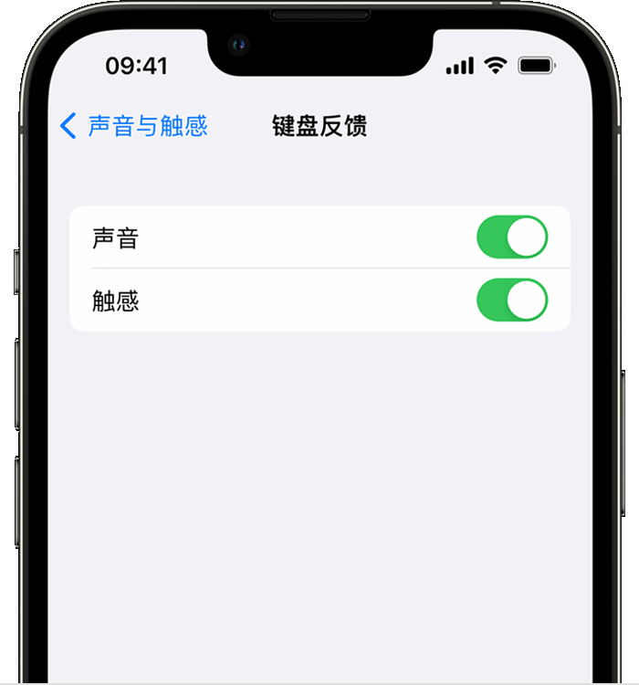 任丘苹果14维修店分享如何在 iPhone 14 机型中使用触感键盘 