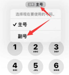 任丘苹果14维修店分享iPhone 14 Pro Max使用副卡打电话的方法 