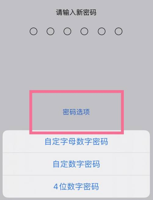 任丘苹果14维修分享iPhone 14plus设置密码的方法 