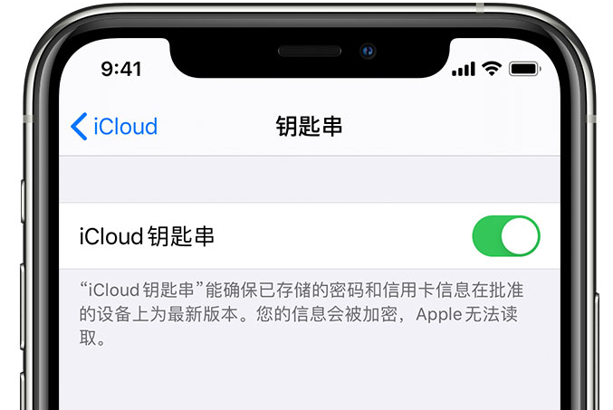 任丘苹果手机维修分享在 iPhone 上开启 iCloud 钥匙串之后会储存哪些信息 