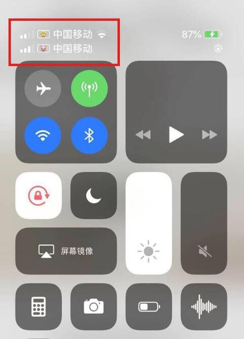 任丘苹果手机维修分享为 iPhone 12 双卡设置标签 